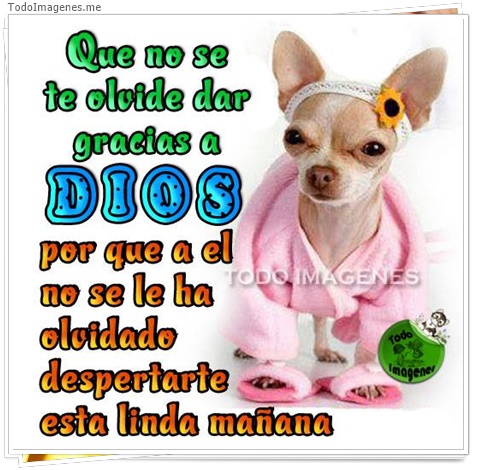 imagen de 5839-20160302-034116