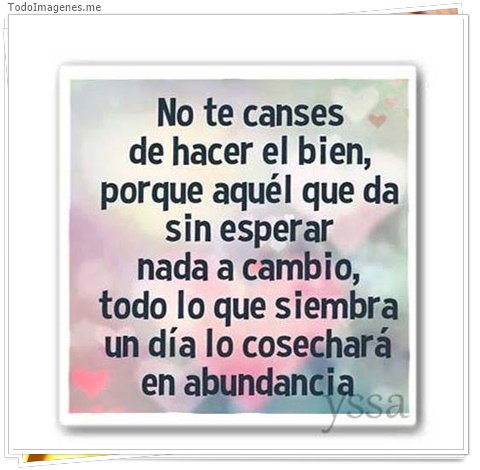 imagen de 7572-20160302-034244