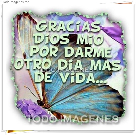 imagen de 6354-20160302-034140