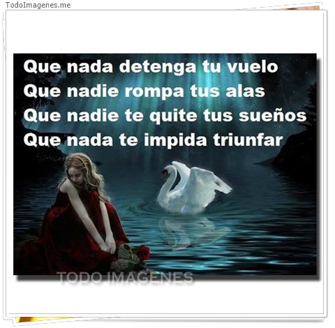 imagen de 8720-20160302-034400