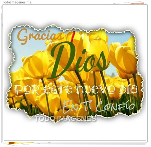 imagen de 043-20161102-105605