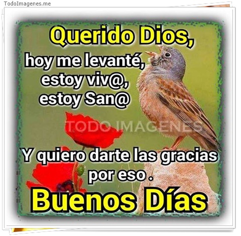 imagen de 10656-20160302-034616