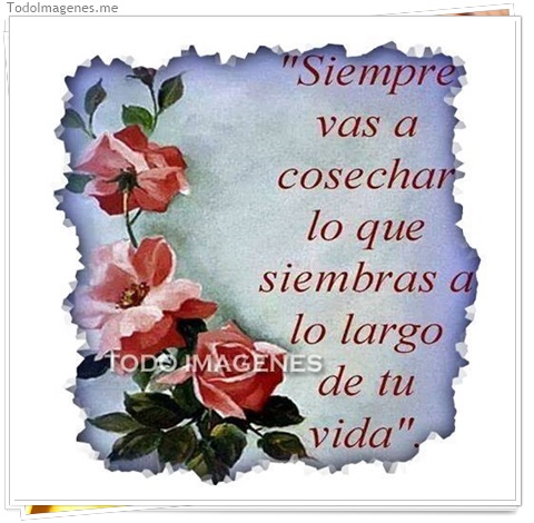 imagen de 237-20160810-120258