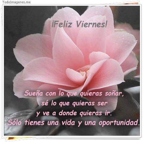 imagen de 5627-20160302-034106