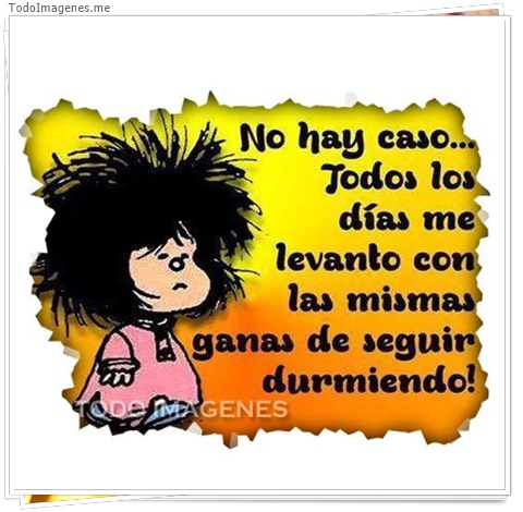 imagen de 6478-20160302-034146