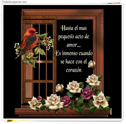 imagen de 3834-20160302-033947