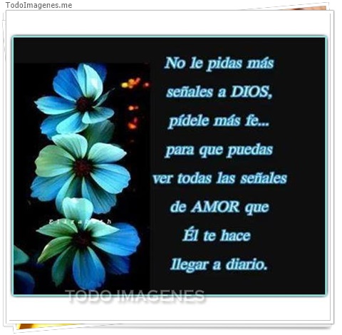 imagen de 7427-20160302-034235