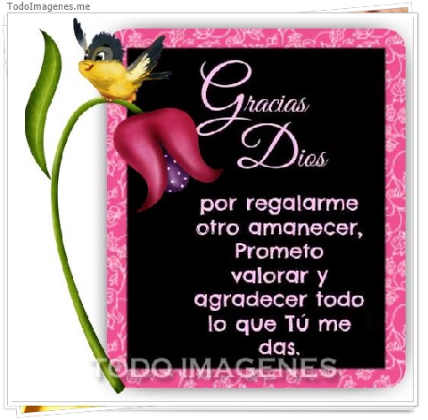 imagen de 654-20160608-192824