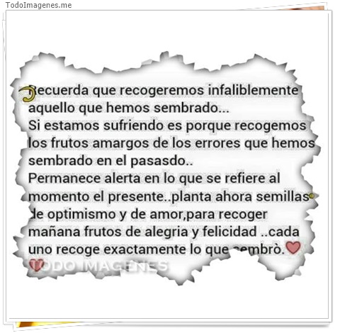 imagen de 4646-20160302-034022