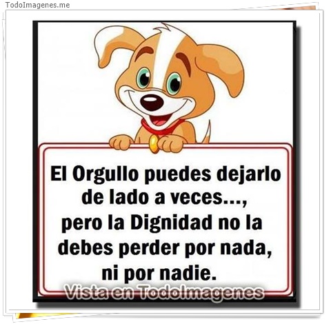 imagen de 11514-20160302-034716