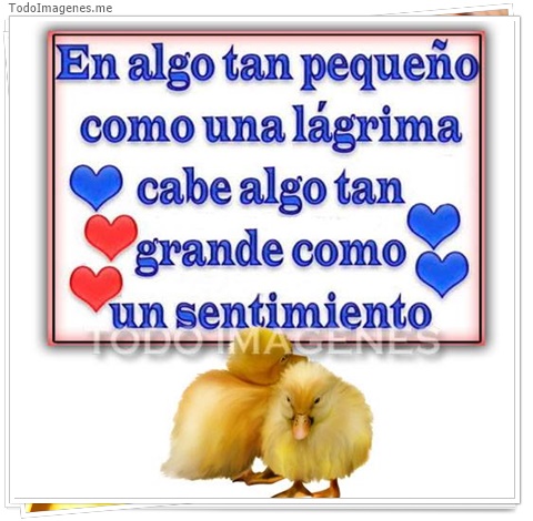 imagen de 10861-20160302-034632