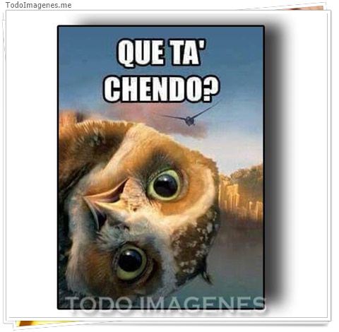 imagen de 10756-20160302-034624
