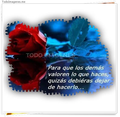 imagen de 7315-20160302-034228