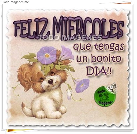 imagen de 5304-20160302-034052