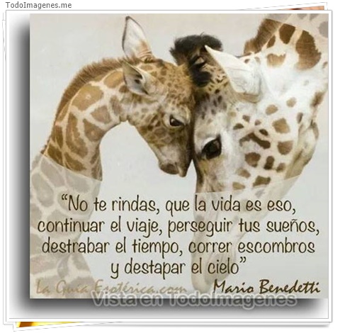 imagen de 10634-20160302-034615