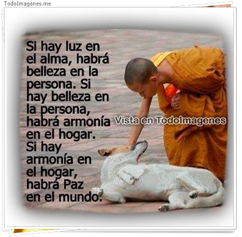 imagen de 11347-20160302-034704