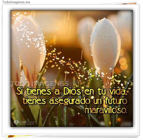 imagen de 3591-20160302-033935