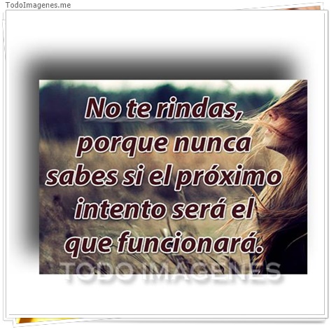 imagen de 2919-20160302-033905