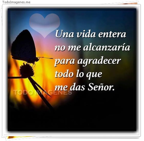 imagen de 5233-20160302-034049