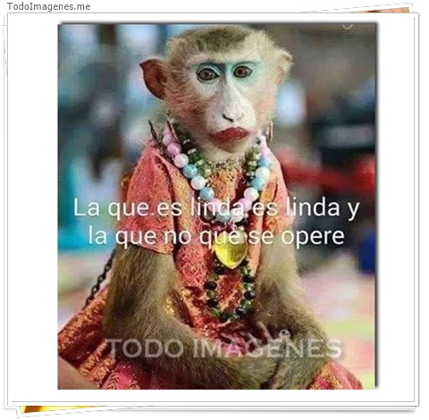 imagen de 1706-20160302-033808