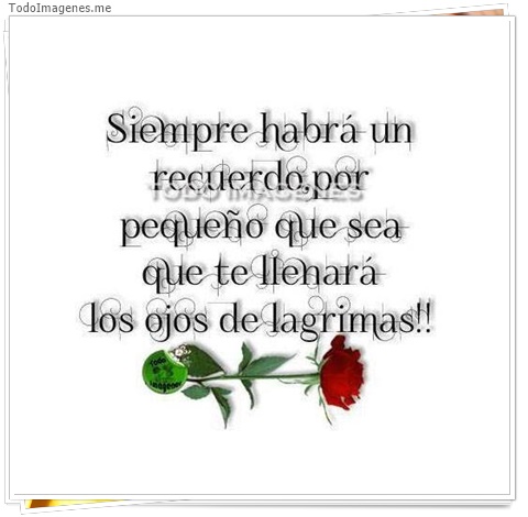 imagen de 3781-20160302-033945