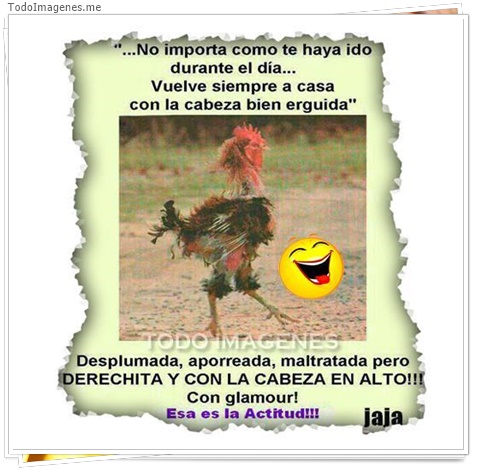 imagen de 7379-20160302-034232