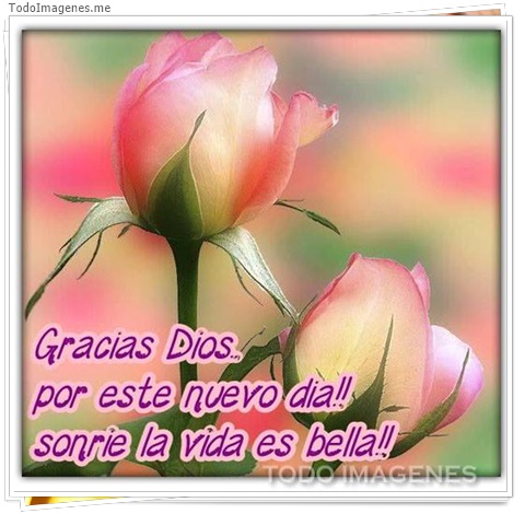 imagen de 7946-20160302-034307
