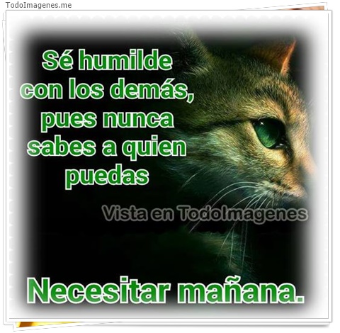 imagen de 11015-20160302-034643