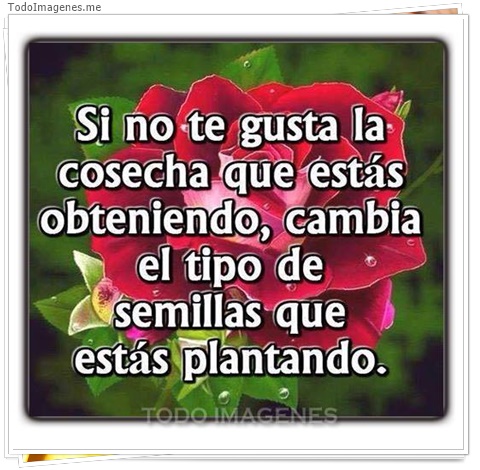 imagen de 6087-20160302-034129