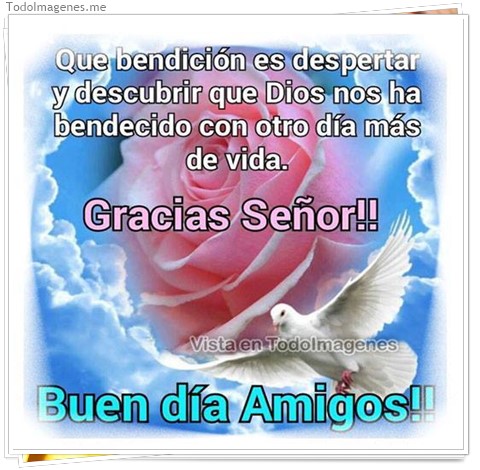 imagen de 009-20160829-192259