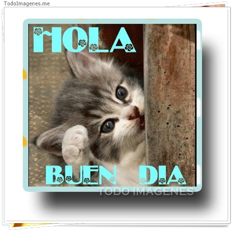 imagen de 3647-20160302-033938