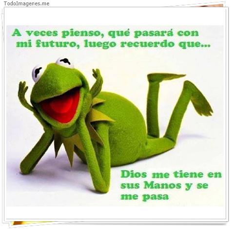 imagen de 3737-20160302-033943