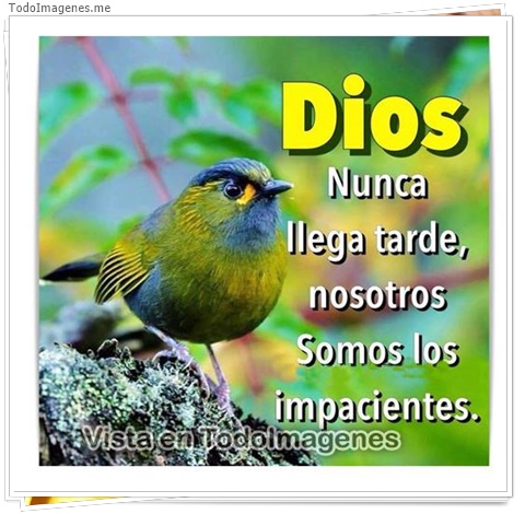 imagen de 11451-20160302-034711