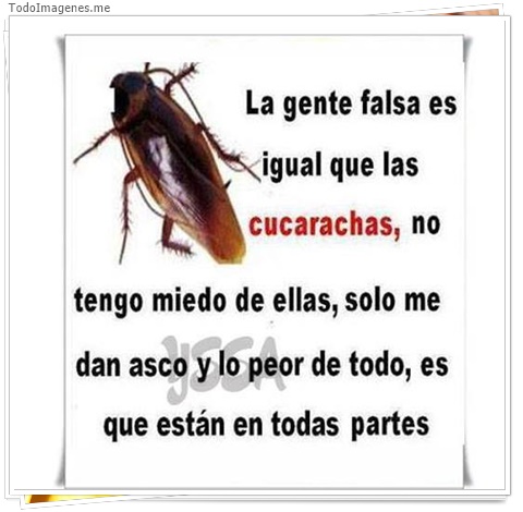 imagen de 4633-20160302-034021