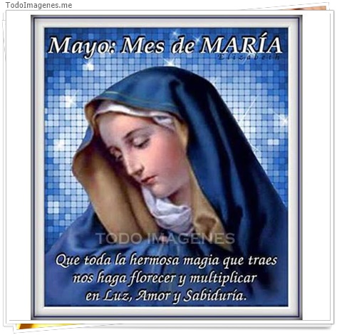 imagen de 9305-20160302-034437