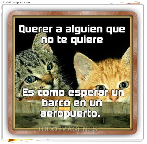 imagen de 7773-20160302-034256