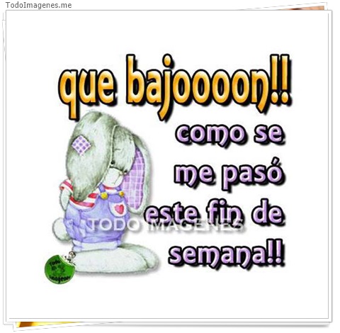 imagen de 7462-20160302-034237