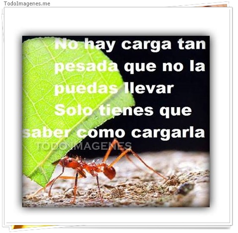 imagen de 9485-20160302-034448