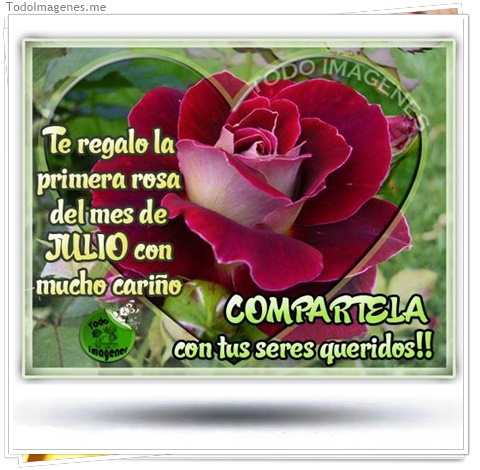 imagen de 067-20160810-120251