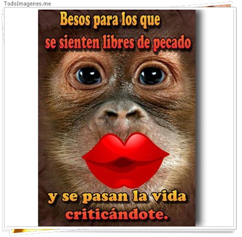 imagen de 5257-20160302-034050