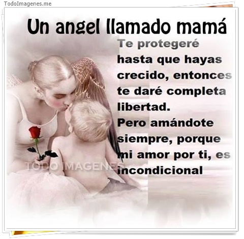 imagen de 3085-20160302-033912