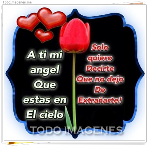 imagen de 10118-20160302-034537
