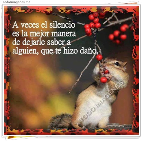 imagen de 7851-20160302-034301