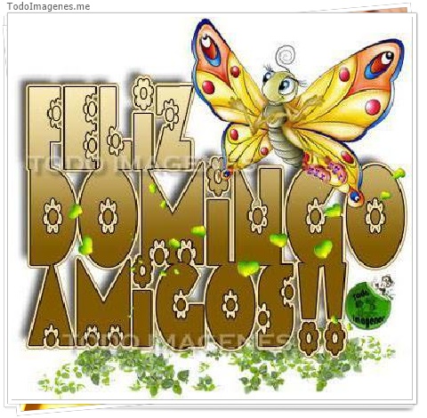 imagen de 569-20160608-192819