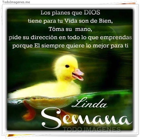 imagen de 9184-20160302-034429