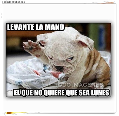 imagen de 7483-20160302-034238