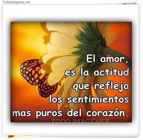 imagen de 9190-20160302-034429
