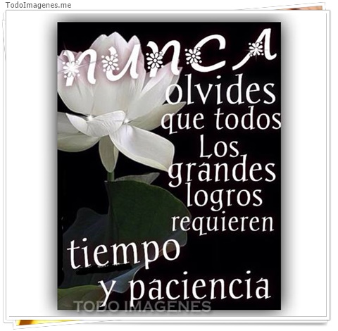 imagen de 9024-20160302-034419