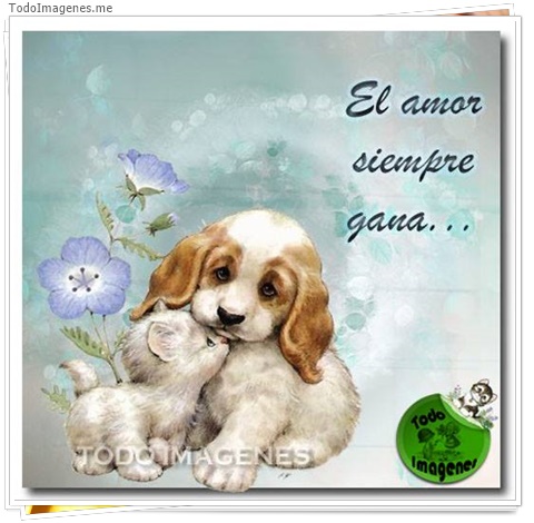 imagen de 5378-20160302-034055