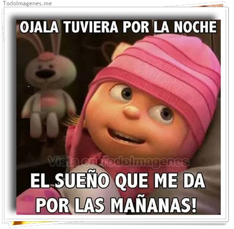 imagen de 303-20160810-120301